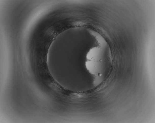 X0000111880763200908061314