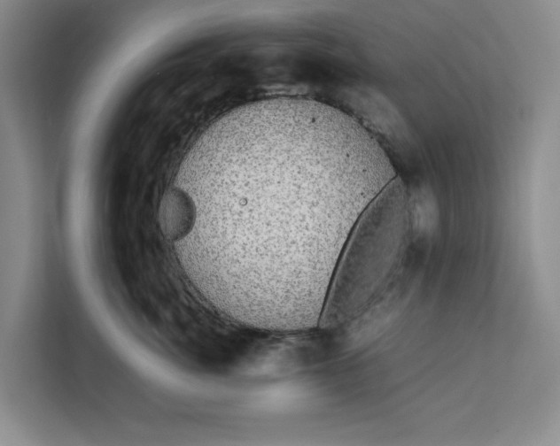 X0000111880764200908061314