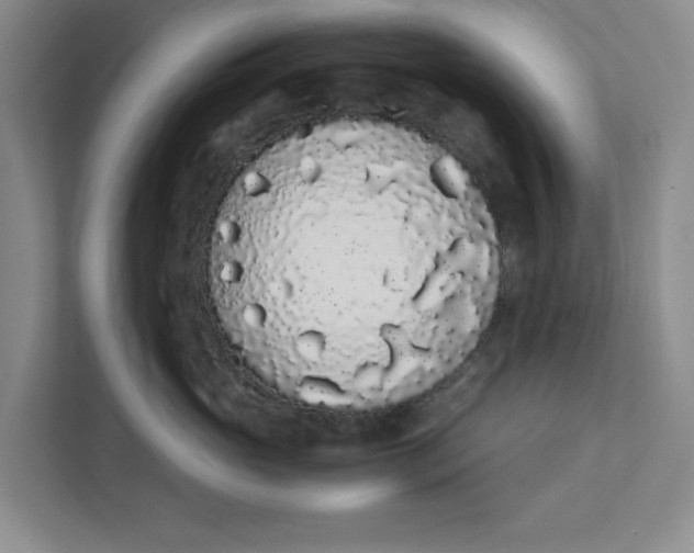 X0000111880765200908061314