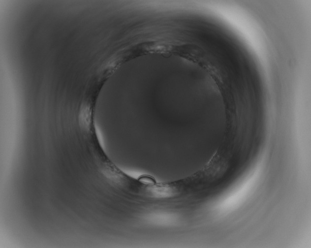 X0000111880767200908061314