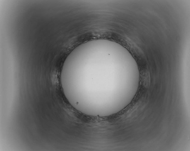 X0000111880770200908061313