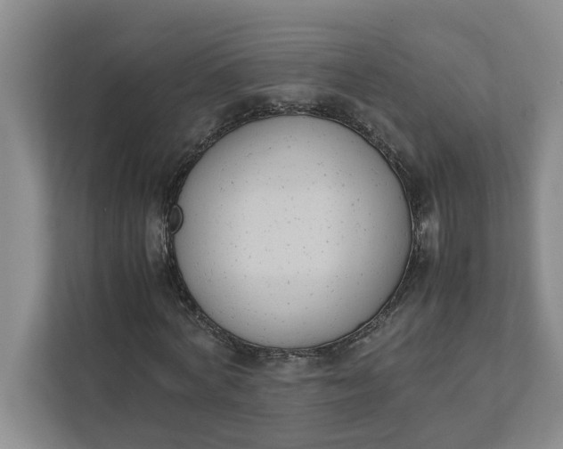 X0000111880772200908061313