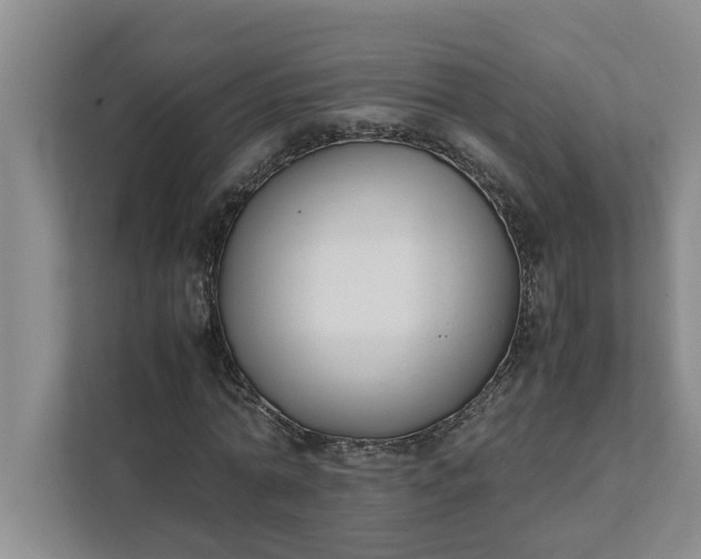 X0000111880774200908061313