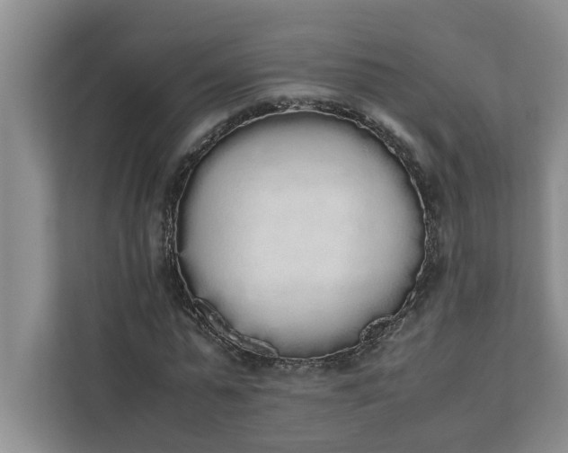 X0000111880775200908061313