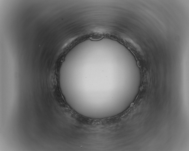 X0000111880776200908061313