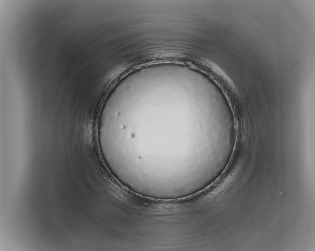 X0000111880777200908061313