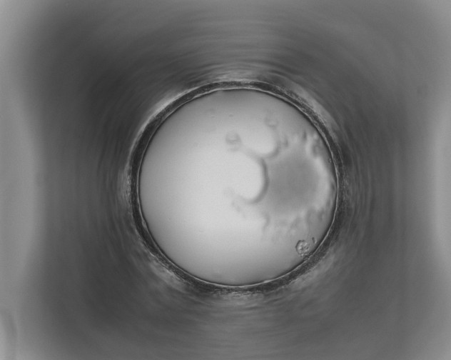 X0000111880779200908061313