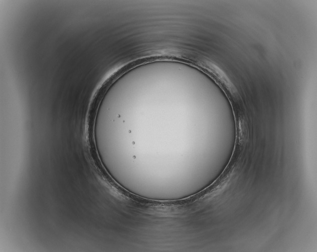 X0000111880780200908061313