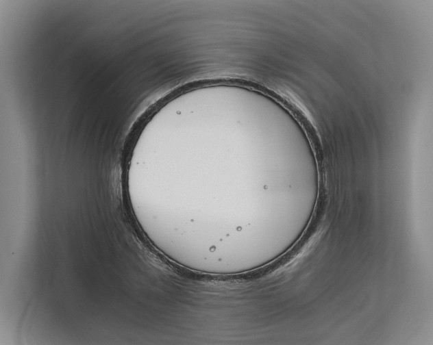 X0000111880781200908061313