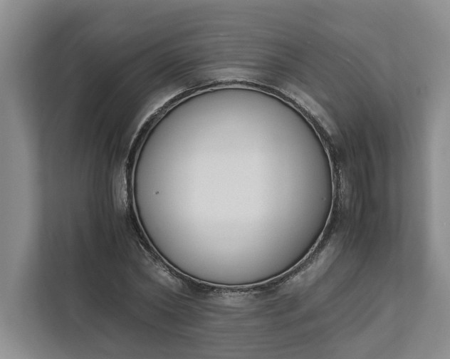 X0000111880782200908061313