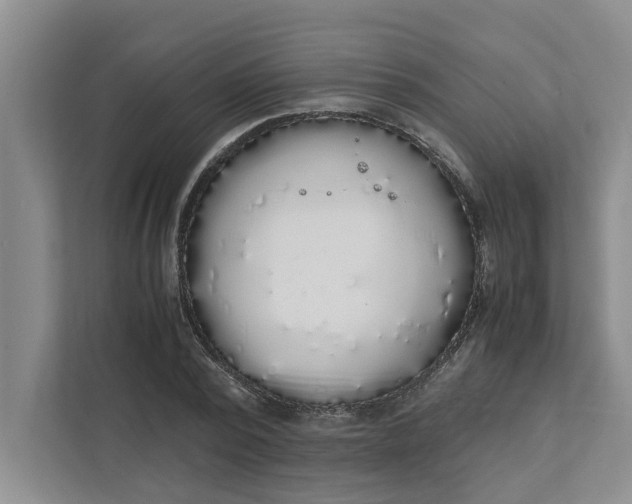 X0000111880784200908061313