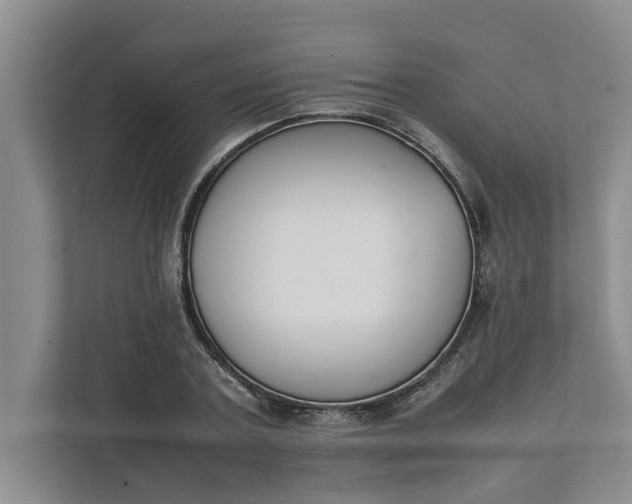 X0000111880787200908061313