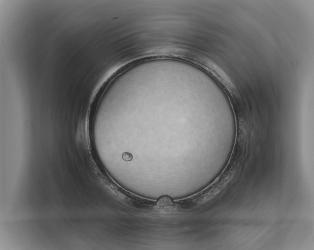 X0000111880788200908061313