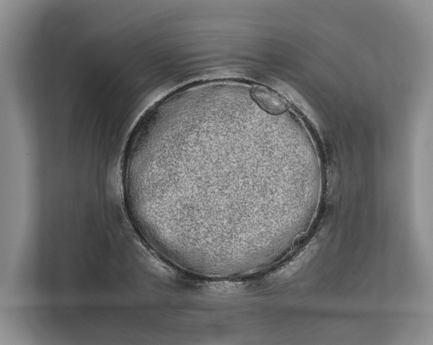 X0000111880789200908061313