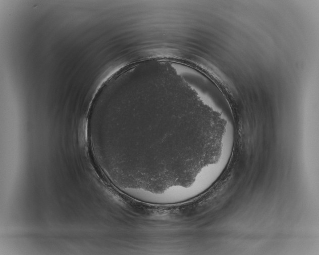 X0000111880790200908061313