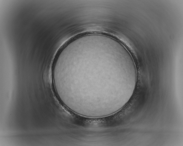 X0000111880791200908061313