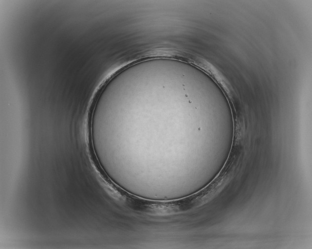 X0000111880795200908061313