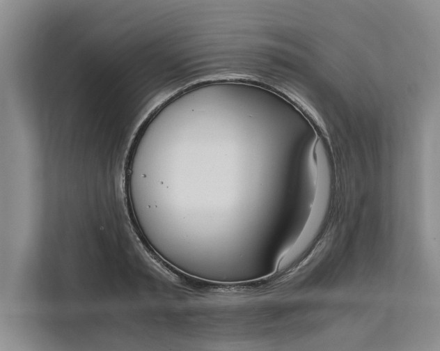 X0000111880797200908061313