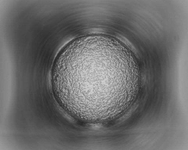 X0000111880798200908061313