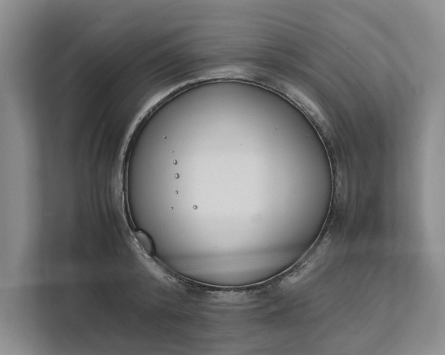 X0000111880800200908061313