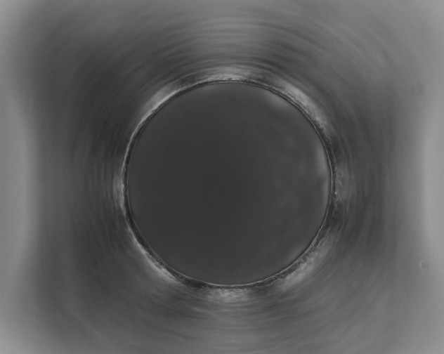 X0000111880802200908061313