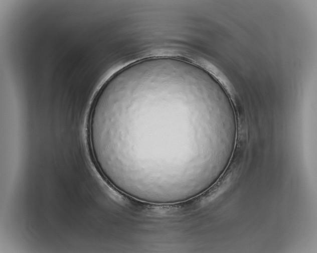 X0000111880803200908061313