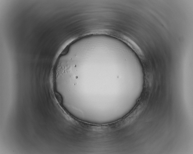 X0000111880804200908061313