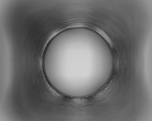 X0000111880805200908061313