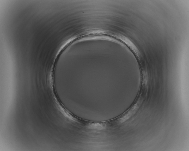 X0000111880806200908061313