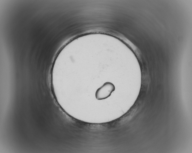 X0000111880807200908061313