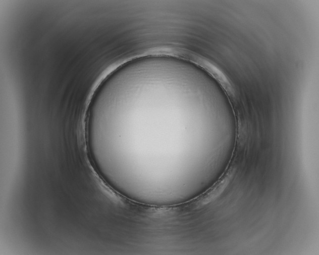 X0000111880808200908061313