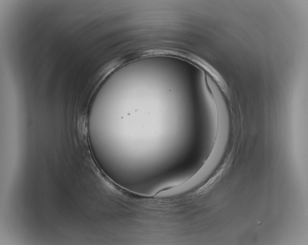 X0000111880809200908061313