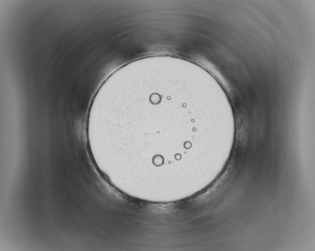 X0000111880810200908061313