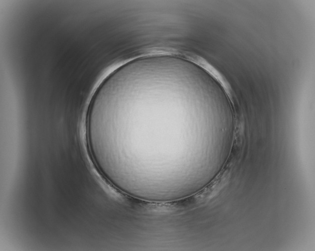 X0000111880811200908061313