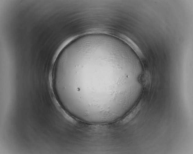 X0000111880812200908061313