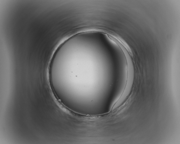 X0000111880813200908061313