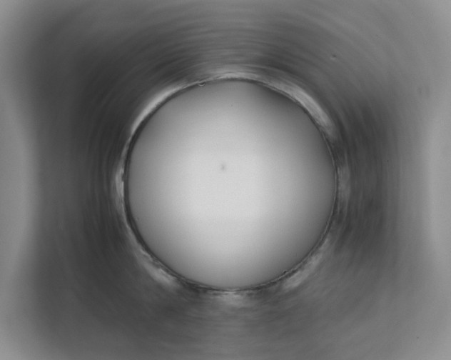 X0000111880814200908061312