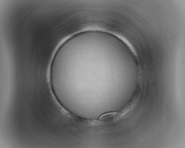 X0000111880815200908061312