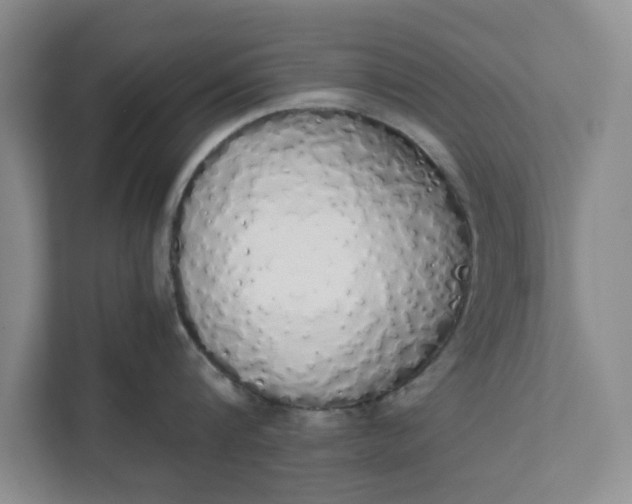 X0000111880816200908061312