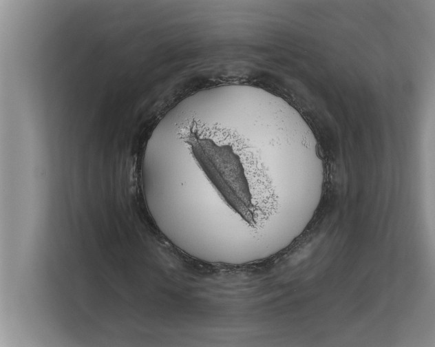 X0000111880818200908061312