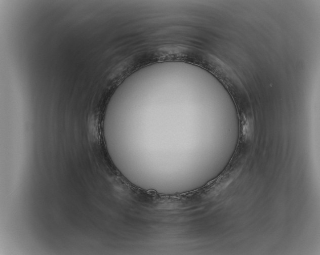 X0000111880819200908061312