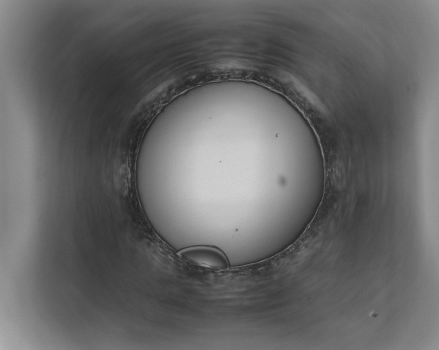 X0000111880821200908061312