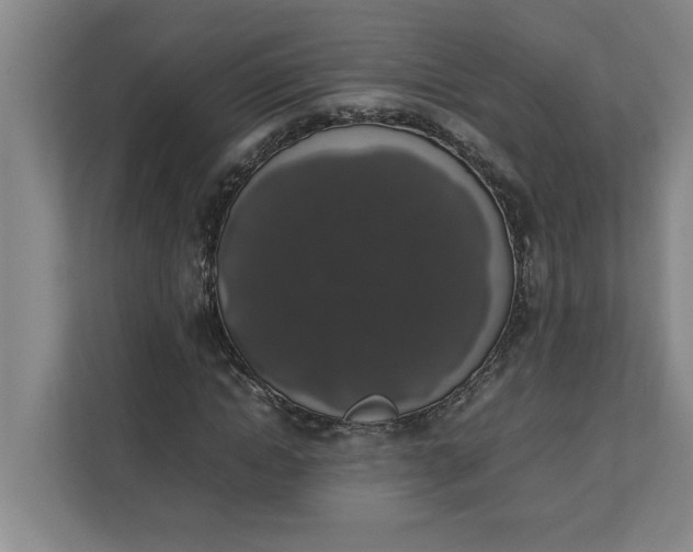 X0000111880822200908061312