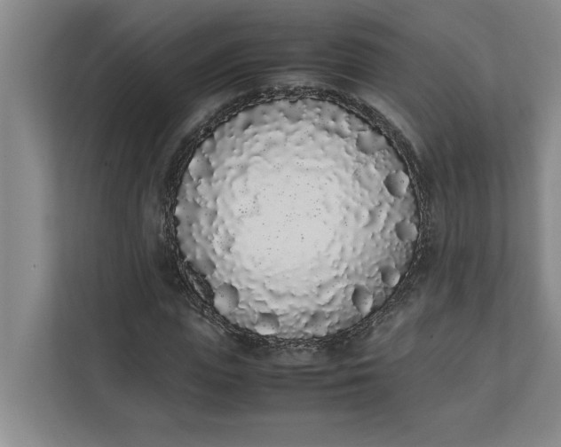 X0000111880823200908061312