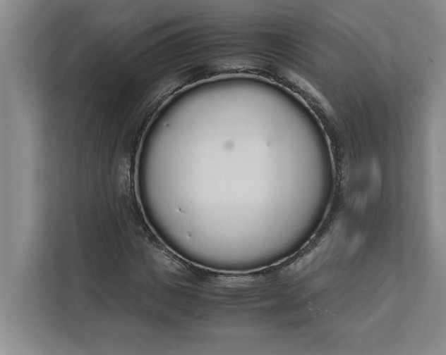 X0000111880825200908061312