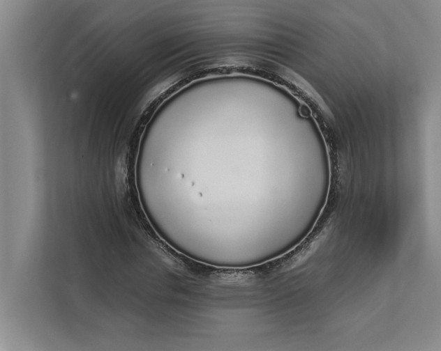 X0000111880826200908061312