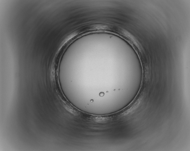 X0000111880827200908061312