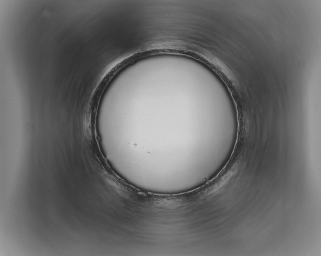 X0000111880830200908061312