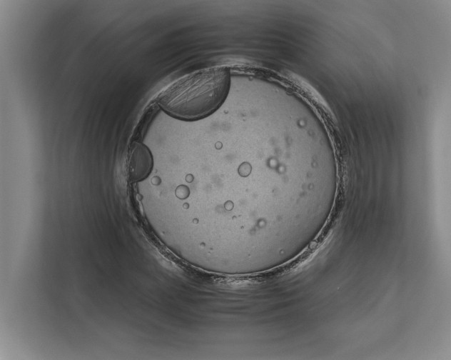 X0000111880831200908061312