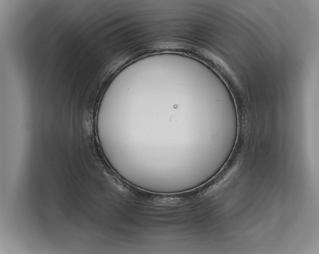 X0000111880833200908061312